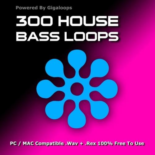Product picture GigaLoops - 300 House Bass Loops