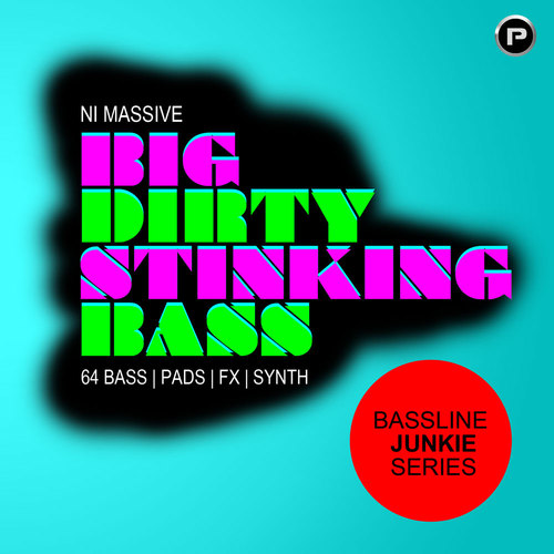 Product picture BIG DIRTY STINKING BASS