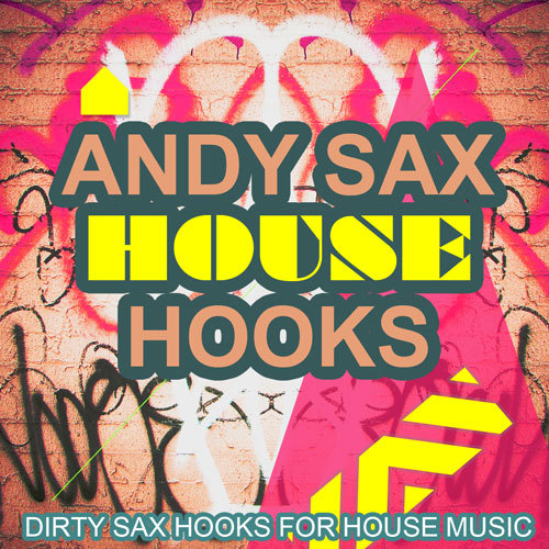 Product picture ANDY SAX HOUSE HOOKS